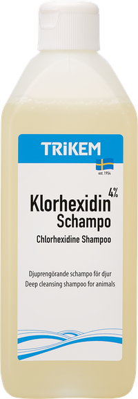 Klorhexidinschampo