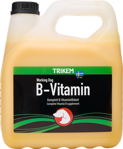B-Vitamin Hund