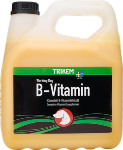 B-Vitamin Hund B-Vitamin Hund