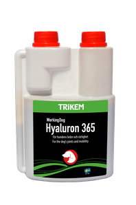 Hyaluron 365 | Trikem Hyaluron 365 | Trikem