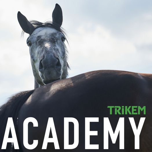 Trikem Academy