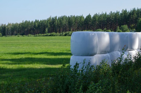 Ensilage till häst | Utfodring | Trikem Academy