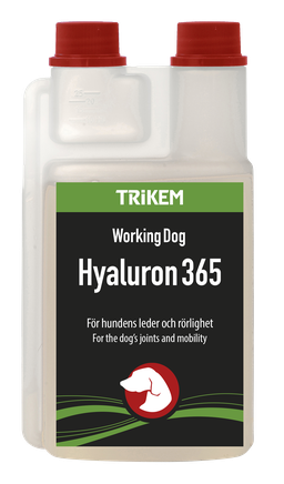 Hyaluron365