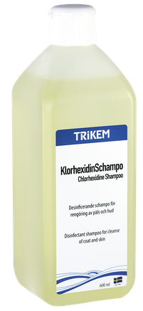 Klorhexidinschampo