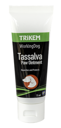 Tassalva
