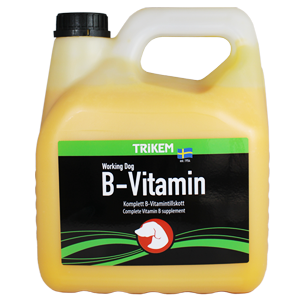 B-Vitamin Hund B-Vitamin Hund