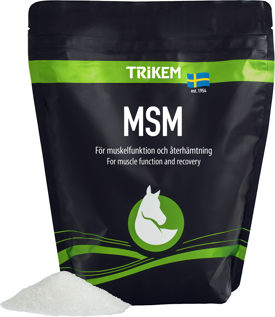 MSM_1000g_177500_prod.webp