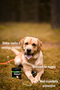 MaxMuscle.webp