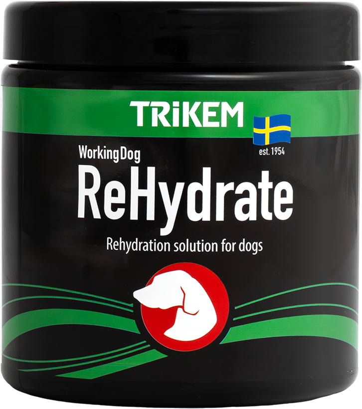 WorkingDog ReHydrate 400 g