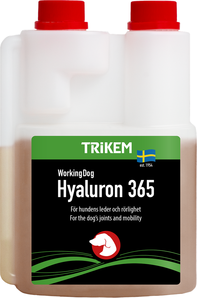 WorkingDog Hyaluron365