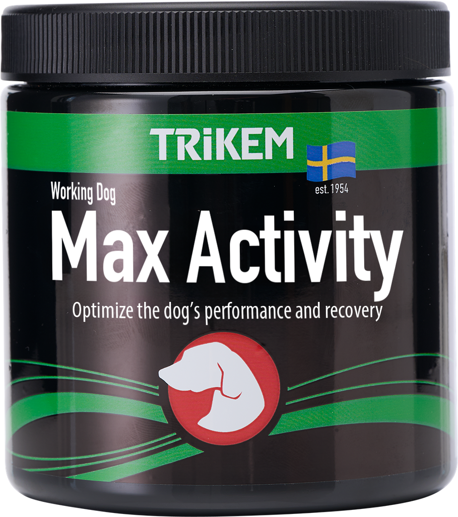 WorkingDog MaxActivity