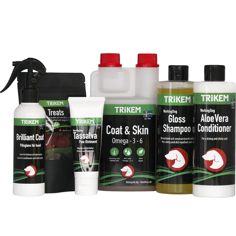 Julklapp till din hund