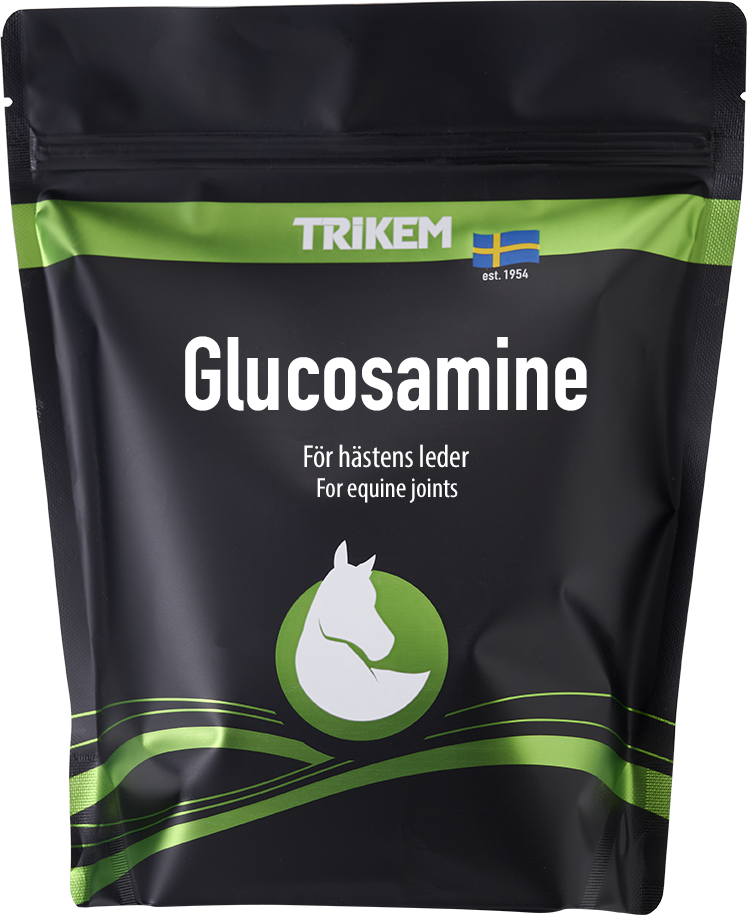 Trikem Glucosamine 1000 g