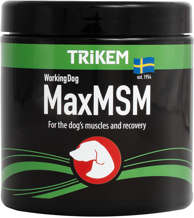 WorkingDog MSM 450g