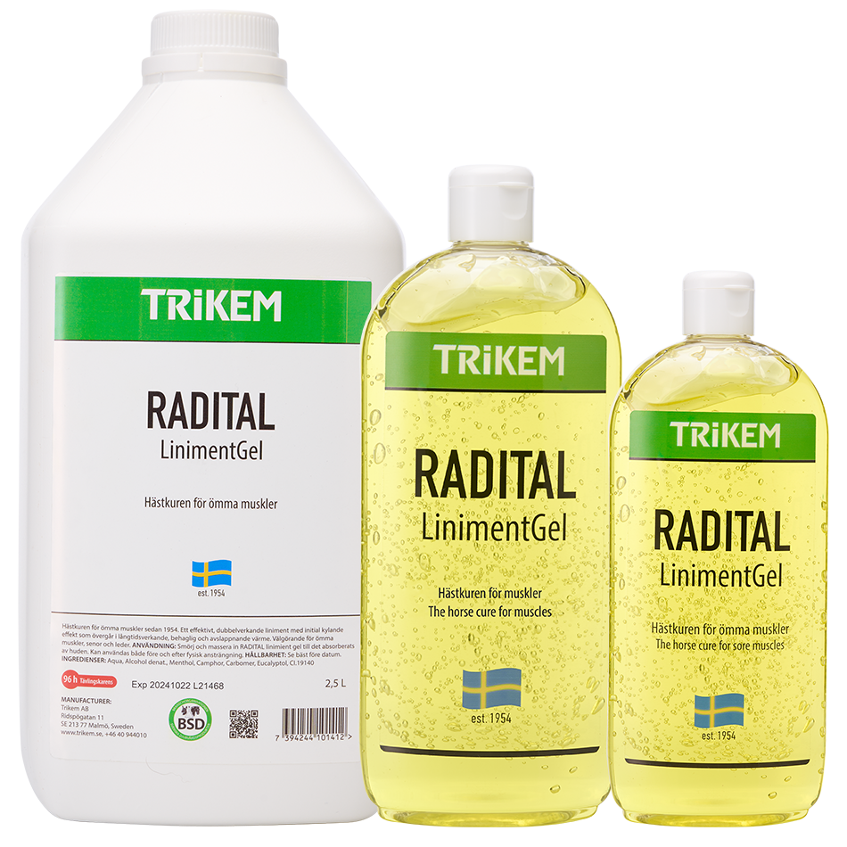 RADITAL Liniment Gel