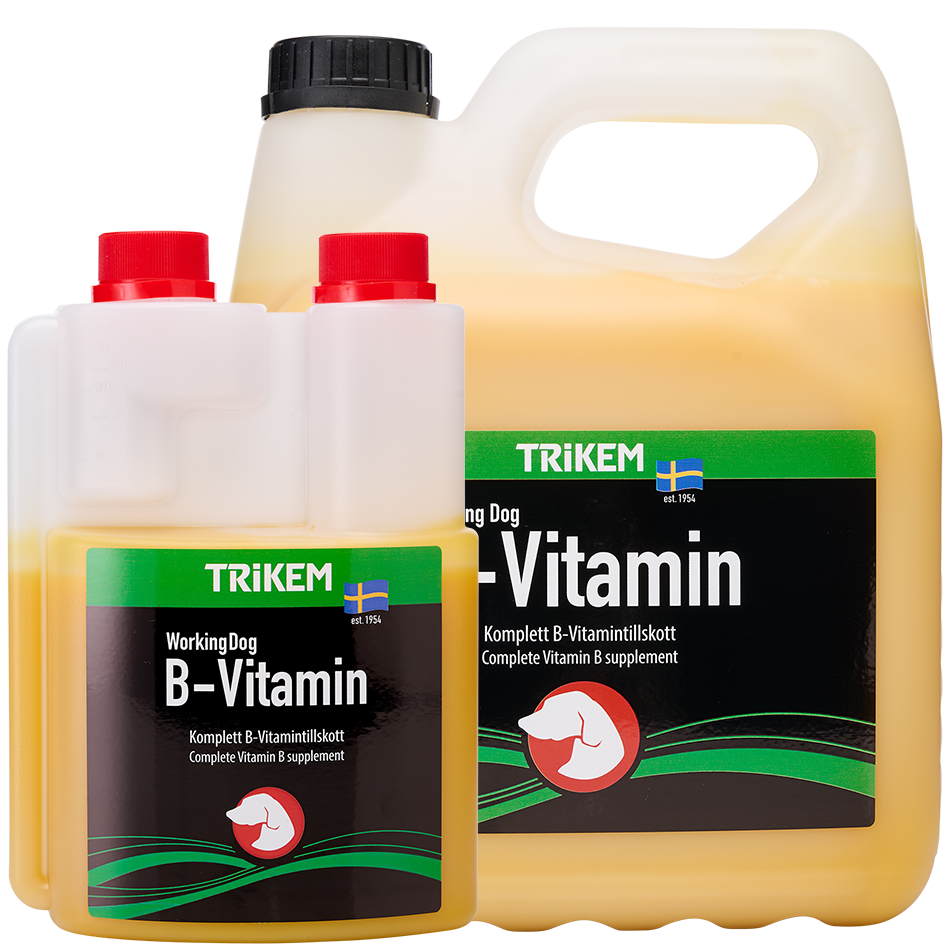 WorkingDog B-Vitamin