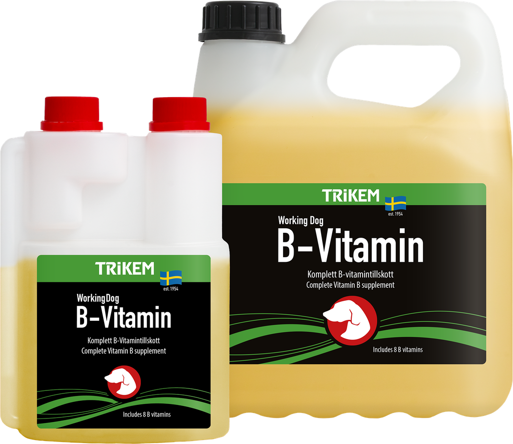 WorkingDog B-Vitamin