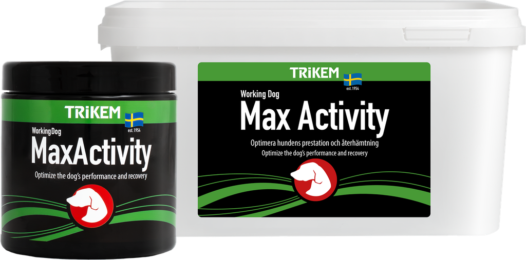 WorkingDog MaxActivity