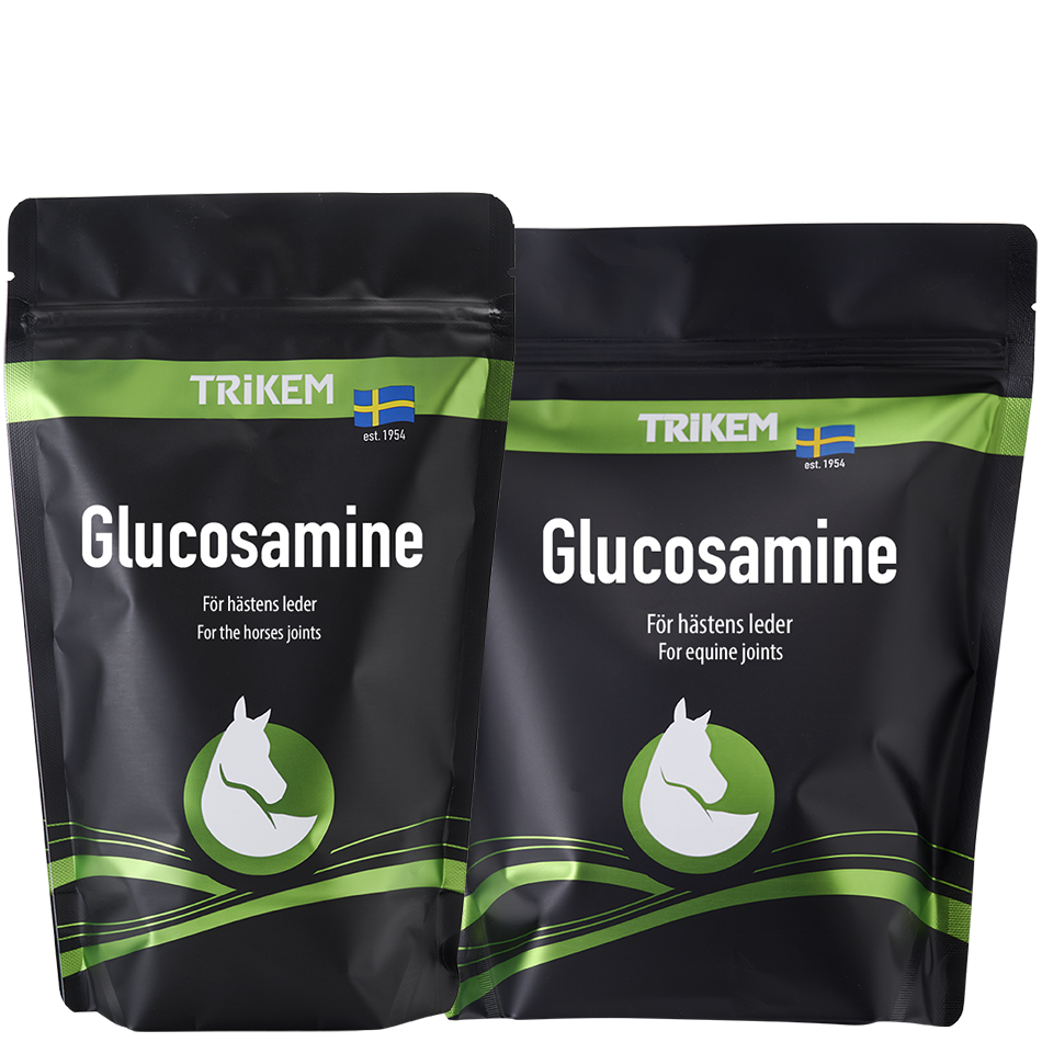 Trikem Glucosamine