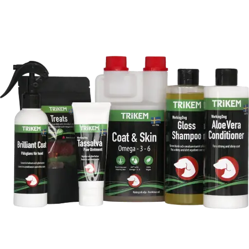 Julklapp till din hund